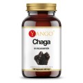 chaga-ekstrakt-10-polisacharydow-90-kapsulek-yango.jpg
