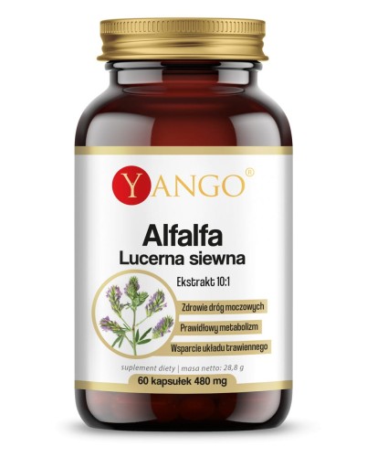 alfalfa-lucerna-siewna-60-kaps-zdrowie-drog-moczowych.jpg