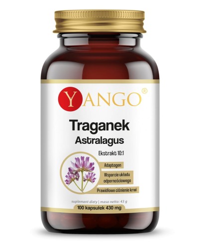 traganek-ekstrakt-101-100-kaps-adaptogen.jpg