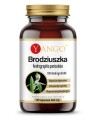 brodziuszka-andrographis-paniculata-90-kaps-suplementy-diety-wsparcie-odpornosci.jpg