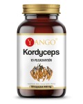Yango - Kordyceps - ekstrakt 10% polisacharydów - 90 kaps. - Afrodyzjak