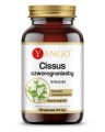cissus-czworograniasty-90-kaps-suplementy-diety-kontrola-masy-ciala-yango-be-effective.jpg