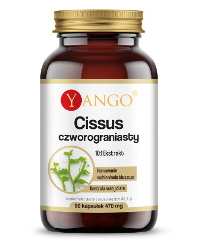 cissus-czworograniasty-90-kaps-suplementy-diety-kontrola-masy-ciala-yango-be-effective.jpg