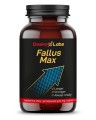 desire-labs-fallus-max-90-kapsulek.jpg