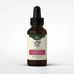 Echinacea angustifolia nalewka 1:1 50 ml  - Nanga