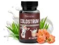 colostrum kozie siara pigwa odpornosc skoczylas.webp