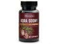 Skoczylas - Kora Sosny z L-argininą be-effective