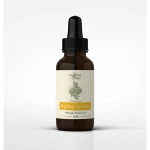 Nanga - Bylica roczna - Artemisia Annua nalewka 1:1 - 50 ml