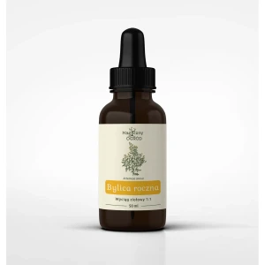 Nanga - Bylica roczna - Artemisia Annua nalewka 1:1 - 50 ml