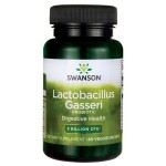 SWANSON - Lactobacillus Gasseri - 60 kaps