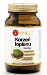 Yango - Korzeń łopianu - ekstrakt - 90 kaps. - Odporność