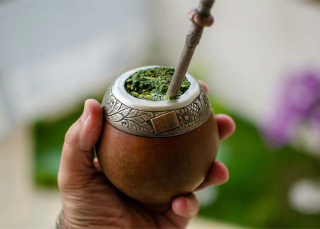 Yerba Mate dla początkujących – jaką wybrać?