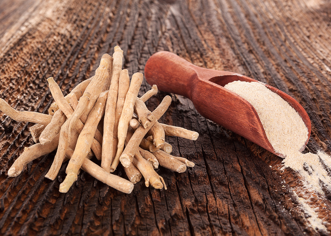 Czym jest ashwagandha i jaki ma wpływ na nasze zdrowie?